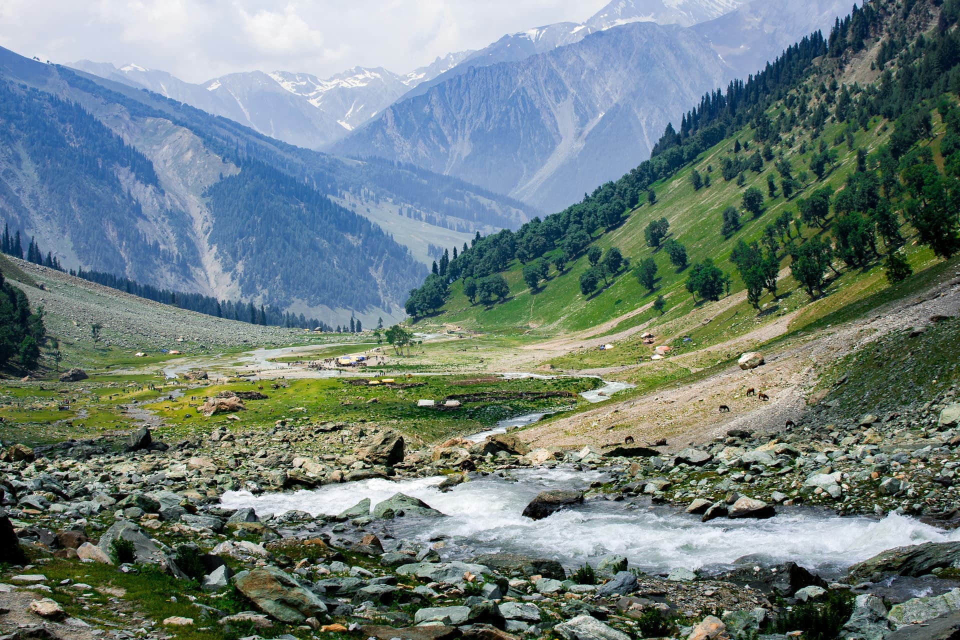 Kashmir